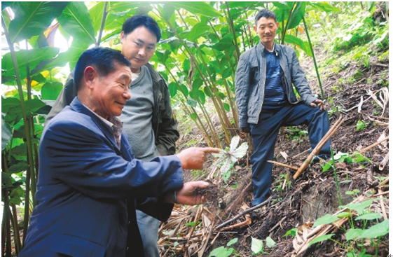 高德荣